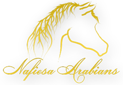 Nafiesa Arabians Logo